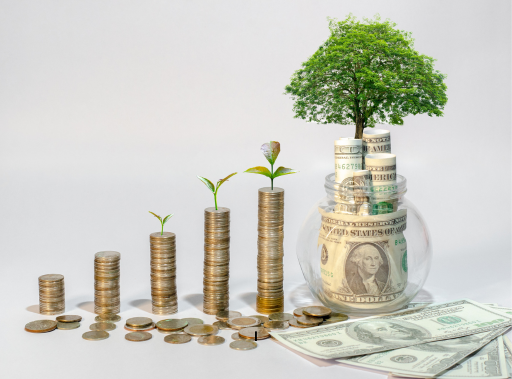 financial acumen and well being