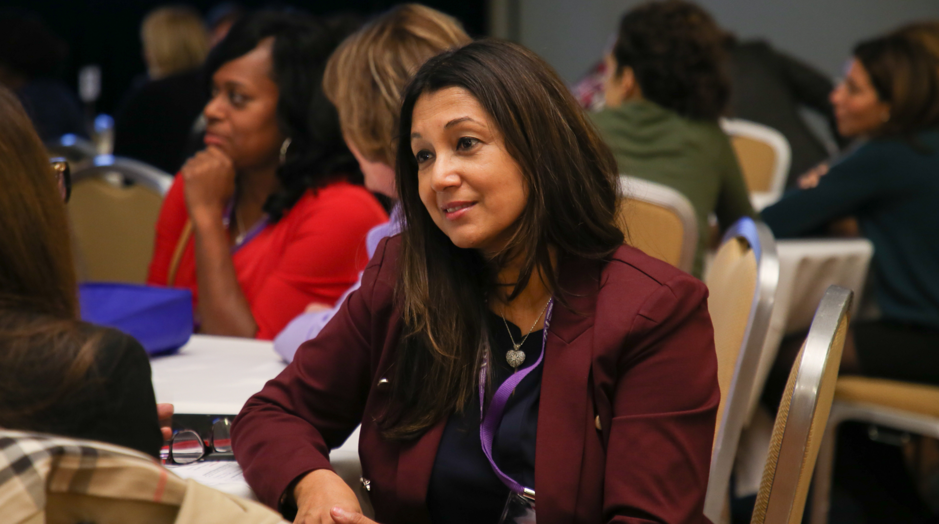 <p>SPRINT Executive Mentor Recruitment</p>