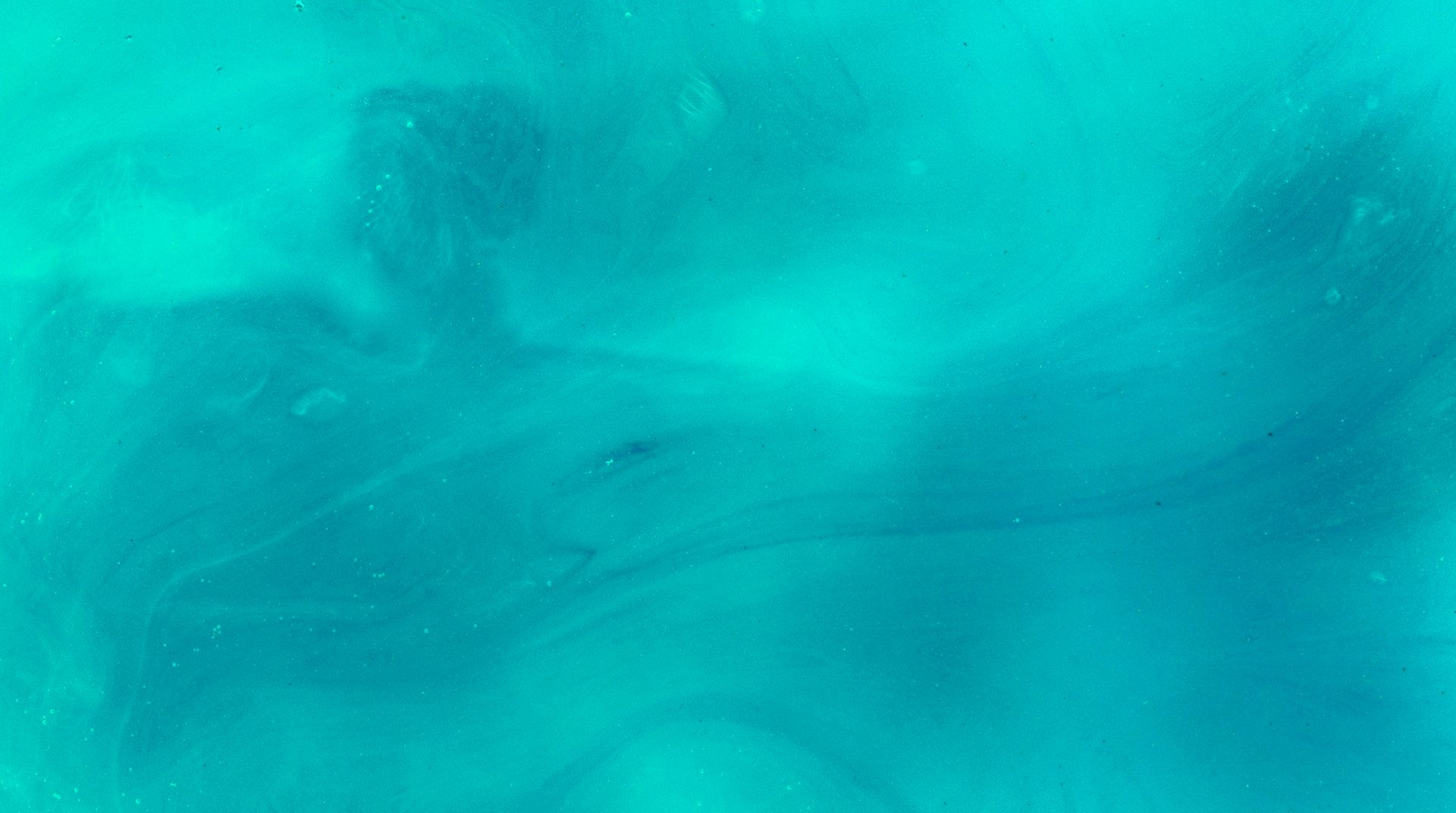 <p>HBA’s Global Ascension Leadership Experience Honors: Woman of the Year category</p>