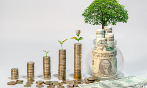 financial acumen and well being